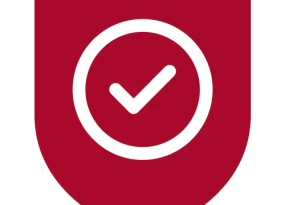 icon 1